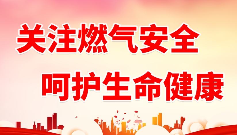 山東省人民政府安全生產(chǎn)委員會關(guān)于印發(fā)  《山東省城鎮(zhèn)燃?xì)獍踩珜ｍ?xiàng)整治實(shí)施方案》的通知