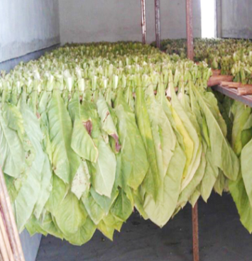 �r(n��ng)������