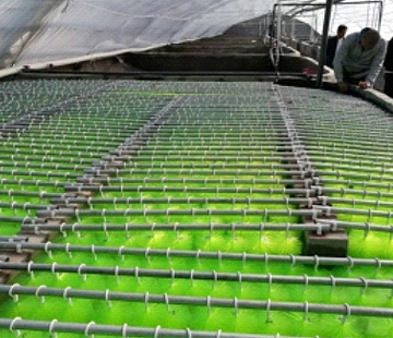 ���a(ch��n)�B(y��ng)ֳ