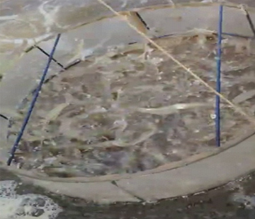 ���a(ch��n)�B(y��ng)ֳ