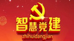 淺談國企如何推進(jìn)“智慧黨建”平臺建設(shè)