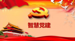 用上互聯(lián)網(wǎng)技術(shù)就是“互聯(lián)網(wǎng)+黨建”了嗎？